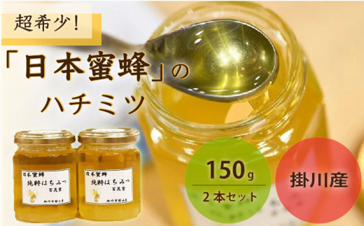 日本蜂蜜(百花蜜) 500g 2本 天然純粋、日本ミツバチ