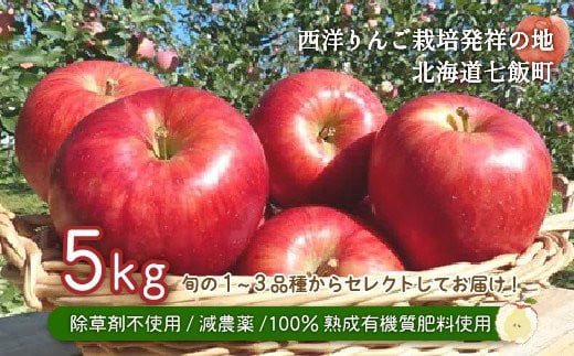 北海道七飯町産 りんご 5kg 除草剤不使用 減農薬 有機質肥料使用