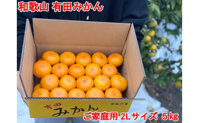 ya̎RLc쒬zmƒpETCYQkna̎RLcYI݂5kgm\̔nmʌn܂闲ʎ