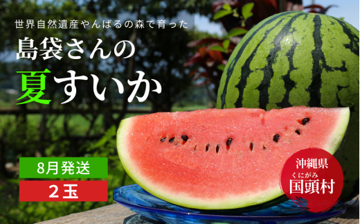 22年9月発送 ゆいゆい国頭厳選 青切りシークヮーサー10 沖縄県国頭村 ふるさと納税 ふるさとチョイス
