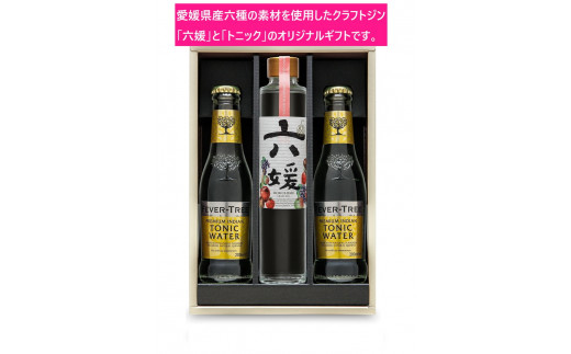 水口酒造 道後ジン「六媛」・トニックセット（G6-200） - 愛媛県久万高原町｜ふるさとチョイス - ふるさと納税サイト