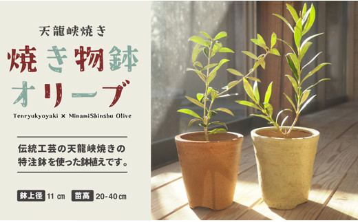 4 7 焼物鉢オリーブ 喬木村喬木村 ふるさと納税 ふるさとチョイス