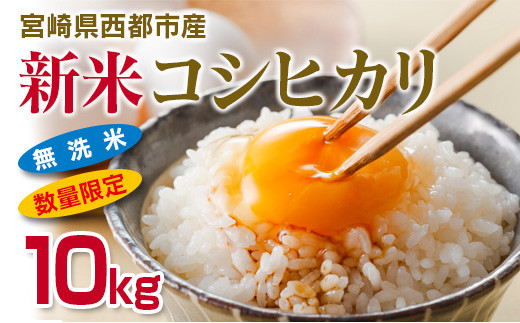 新米無洗米コシヒカリ5kg×2 合計10kg 宮崎県西都産＜1.5-30＞ - 宮崎