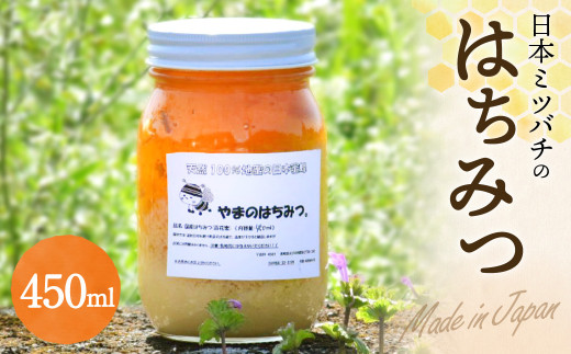 日本蜜蜂の蜂蜜 450ml ハチミツ 日本ミツバチ 百花蜜 天然100