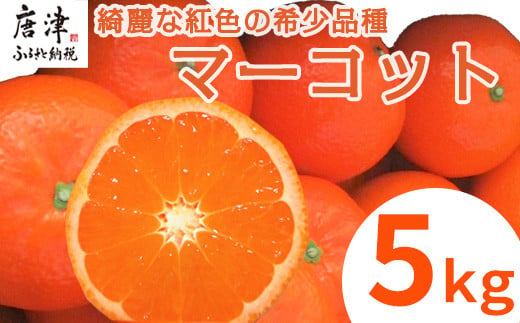 先行予約』【12月発送】吉田みかん園の樹上完熟みかん 10kg 柑橘 ミカン 蜜柑 フルーツ 果物 - 佐賀県唐津市｜ふるさとチョイス - ふるさと納税 サイト