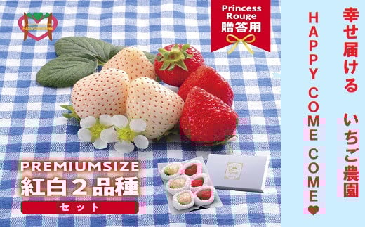 yR}sz@ 킹͂邢_HappyComeCome̍g2iHה׃Zbg 400gȏs12{-3{oׁt