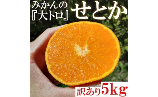 紀州有田産清見オレンジ ７ ５kg 23年4月上旬頃 4月下旬頃に順次発送予定