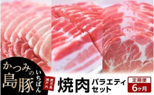 定期便6か月】かつみの島豚いちばん焼肉バラエティセット 750g（250g×3パック） - 鹿児島県瀬戸内町｜ふるさとチョイス - ふるさと納税サイト