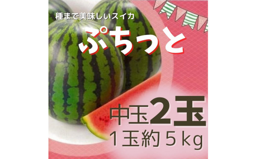 種まで美味しいスイカ「ぷちっと」中玉（1玉約5kg）×2玉 - 茨城県鉾田