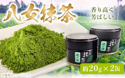 八女抹茶(約20g×2缶) 福岡県 鞍手郡 小竹町《30日以内に順次出荷(土日祝除く)》 送料無料