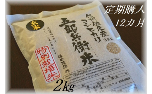 ６ヶ月定期便】佐久市望月のコシヒカリ 白米5kg 香り さわやか 上品