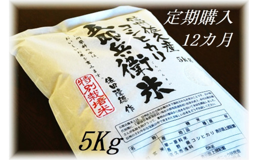 【１２ヶ月定期便】佐久市望月のコシヒカリ 白米5kg 香り さわやか