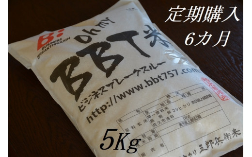 １２ヶ月定期便】佐久市望月のコシヒカリ 白米5kg 香り さわやか 上品
