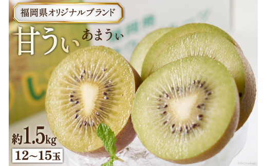 y}szyԌ蔭z̃uh Y LECIÎ_ςIÂiLECj1.5kg 12`15 [썑t[c  }s 21760126]