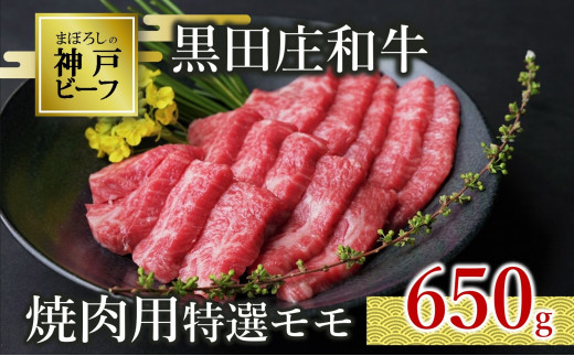 サンプル写真