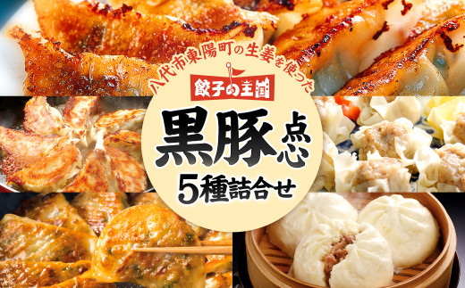 八代市 東陽町の 生姜 を使った 餃子の王国 黒豚 点心詰合せ 餃子 焼売