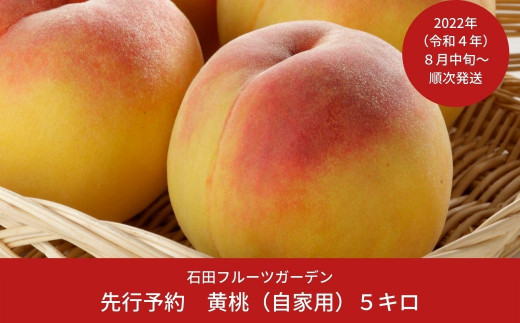 桃 肥料 - 食品の人気商品・通販・価格比較 - 価格.com