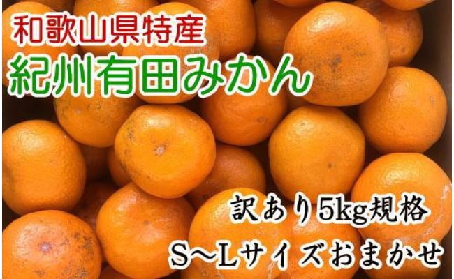 訳ありご家庭用】和歌山有田みかん5kg（S～Lサイズいずれかお届け） - 和歌山県高野町｜ふるさとチョイス - ふるさと納税サイト