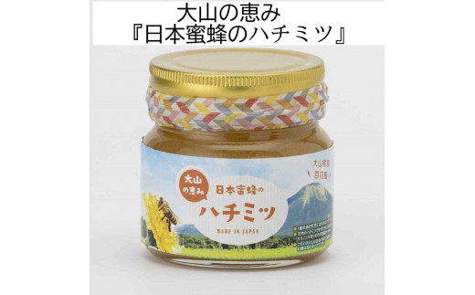 MS-142　大山町産プレミアムはちみつ「日本蜜蜂のはちみつ」（290g×2本）