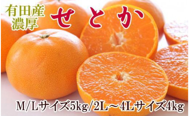 デコポンと 和歌山有田の濃厚はるみ 約5kg (Lサイズ)※2023年1月下旬〜2月下旬順次発送予定：和歌山県すさみ町 サイズ -  www.tomislavnews.com
