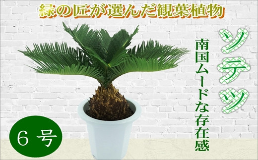 一手販売 ほぼ自然6663ソテツ科with花瓶装飾シルク植物、グリーン 人工