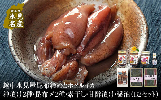 越中氷見屋 昆布締めとホタルイカ沖漬け2種 昆布〆2種 素干し 甘酢漬け 醤油 B2セット 魚貝類 加工食品 富山県氷見市 ふるさと納税 ふるさとチョイス