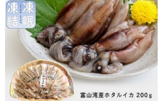 鮮度そのまま！富山湾の神秘ホタルイカ生冷200g 〈冷凍〉｜ 富山湾 珍味 海鮮 刺身 しゃぶしゃぶ 富山 氷見 富山県産 ほたるいか 冷凍 凍眠凍結  おつまみ 酒の肴 お取り寄せ グルメ - 富山県氷見市｜ふるさとチョイス - ふるさと納税サイト