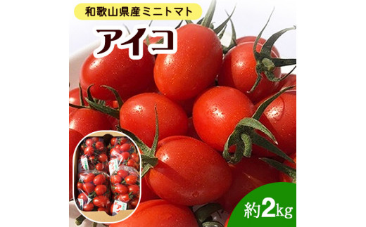 和歌山県産《絶品》ミニトマト「アイコ」約2kg (500g×4袋入) 株式会社松源《2024年6月上旬-7月中旬頃出荷》和歌山県 紀の川市