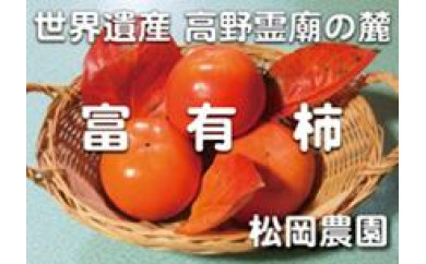 富有柿の人気商品・通販・価格比較 - 価格.com
