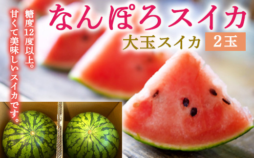 8月発送】北海道産 なんぽろスイカ 2玉 大玉 令和7年度産 8月発送開始