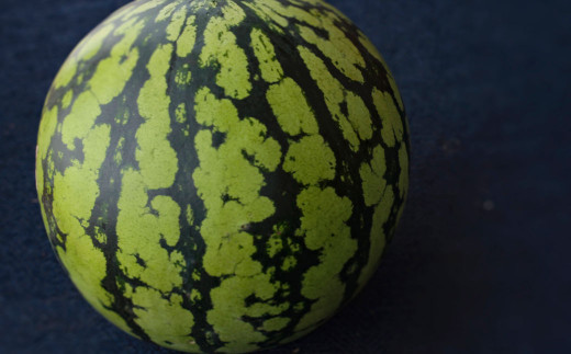 熊本県 益城町 スイカ だんらん 2玉 2玉 2l 計約14kg 熊本県益城町 ふるさと納税 ふるさとチョイス