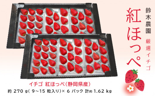 １０５９ 紅ほっぺ いちご 静岡県産 270ｇ×6パック 計1.6㎏ 令和６年３