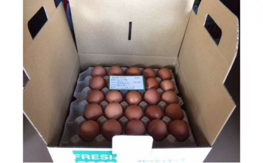 yʌє\szє\Y܂ 50[52210677]