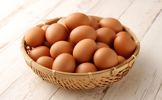 【熊本県菊池市】【6回定期便】 にんにくたまご 60個×1ケース 毎月(計6回) たまご 卵