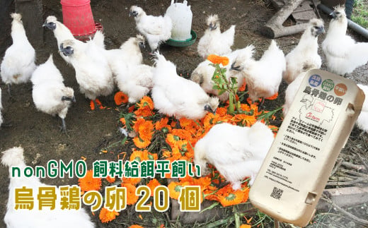 nonGMO飼料給餌平飼い 烏骨鶏の卵20個 - 兵庫県淡路市｜ふるさと