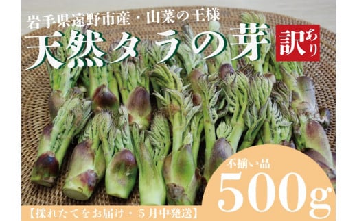 先行予約】天然タラの芽 訳アリ品 500ｇ - 岩手県遠野市｜ふるさと