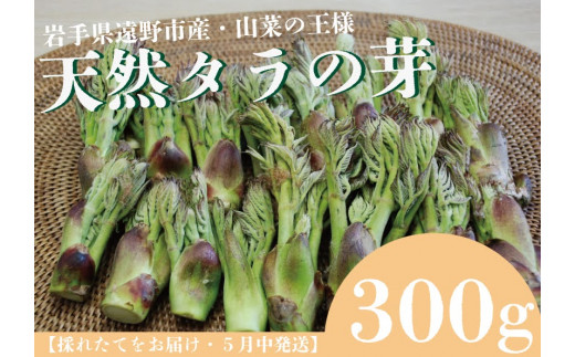 葉ワサビ北海道　天然　タラの芽　500g＋α