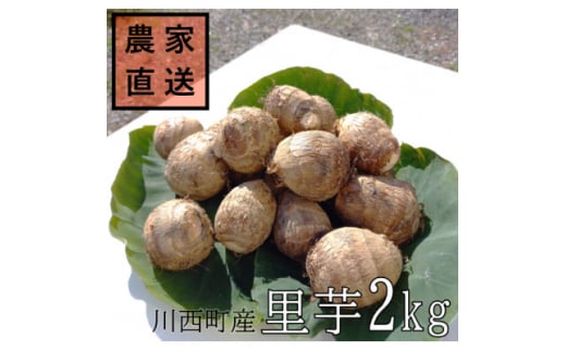 yR`쐼z2025N10{Jn_ƒ@yt(a)2kgy1233439z