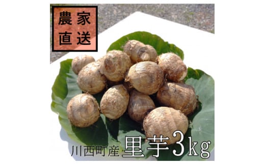 yR`쐼z2025N10{Jn_ƒ@yt(a)3kgy1233440z