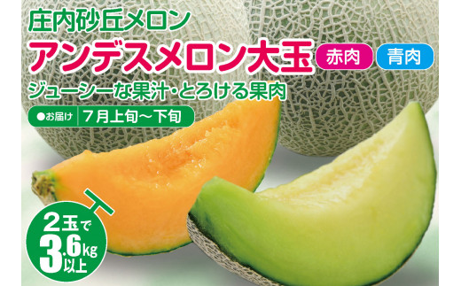 庄内砂丘メロン アンデスメロン(青肉・赤肉) 大玉2玉 計3.6kg