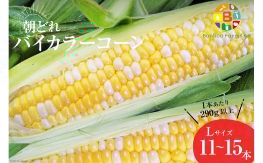 y茧szAG034@yߘa8Nxoוz5{oׁIuǂoCJ[R[IvL×11`15{Zbg