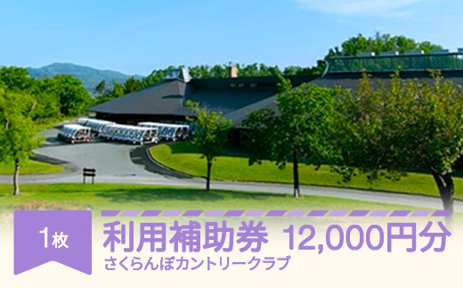 yR`RszStꗘp⏕ ڃJg[Nup⏕ 12000~ sc-hkxxx12000