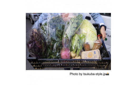 【茨城県つくば市】ごきげんファームの野菜セット(季節の野菜8品・平飼い卵10個)【1293551】
