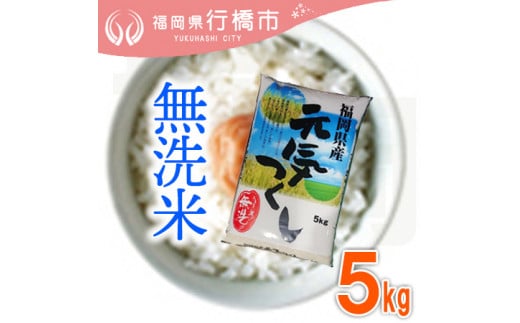 元気つくし 5キロ✖︎4 元気つくし 金のめし丸マーク付 福岡県産 20kg(5kg×4) 精米 令和
