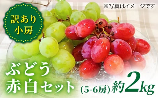 訳あり】 詰め合わせ赤白セット（サニードルチェ・ シャインマスカット ）約2kg（5～6房） ブドウ ぶどう マスカット 種無し ブドウ 西海市産  ＜山田敦義＞ [CCX008] - 長崎県西海市｜ふるさとチョイス - ふるさと納税サイト