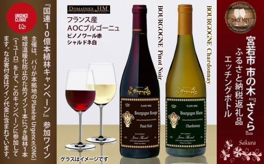 2023年9月 ふるさと納税 ワインの人気返礼品ランキング - 価格.com