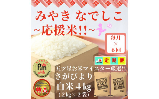 CI382【みやきなでしこ】応援米【６回定期便】さがびより白米４kg（２kg×２袋）精米　佐賀県産 女子サッカー応援