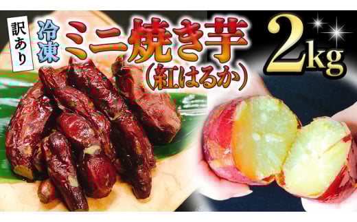 y錧㒬z󂠂 Ⓚ ~j Ă ( g͂邩 ) 2kg t[hX 팸 Tc}C ܂ C  Y  H@ XC[c    錧Y [AU029ya]