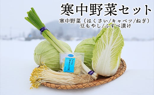 《 先行予約 》 【 令和5年産 / 冬野菜 セット 】 雪国 米沢 の 寒中野菜 3種 と 伝統野菜 セット ( キャベツ 白菜 ねぎ 豆もやし  ふすべ漬け ) 〔 12月中下旬頃～お届け予定 〕 野菜 道の駅 米沢 [036R5-012]