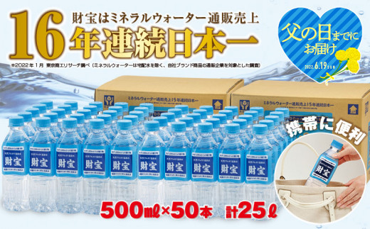 ふるさと納税 鹿屋市 天然アルカリ温泉水 財宝 500ml 25本 2箱 94 1 Nullsult No